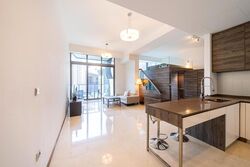 The Scotts Tower (D9), Condominium #518965981